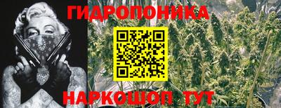 круглые Тверь