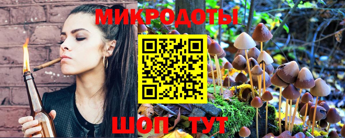 Псилоцибиновые грибы GOLDEN TEACHER  Вход с VPN  Псилоцибиновые грибы мухоморы  Мценск 